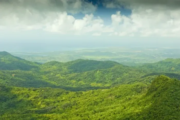 Framed Print : Looking south from the El Yunque peak overlook, El Yunque NF, Puerto Rico Framed Print : Looking south from the El Yunque peak overlook, El Yunque NF, Puerto Rico