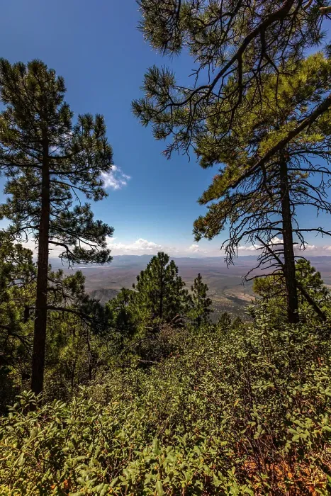 Framed Print : Looking south towards Mexico atop Mt. Graham in the Coronado National Forest Framed Print : Looking south towards Mexico atop Mt. Graham in the Coronado National Forest