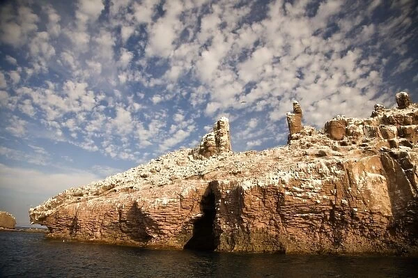 Los Islotes Marine Preserve next to Espiritu Santo Island, near La Paz, Baja California