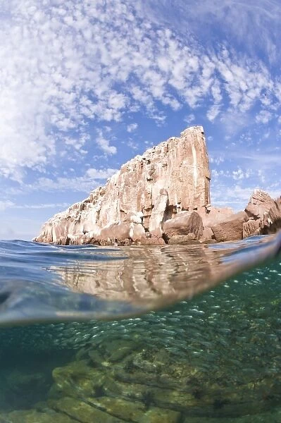 Los Islotes Marine Preserve, Espiritu Santo Island, near La Paz, area, Baja California