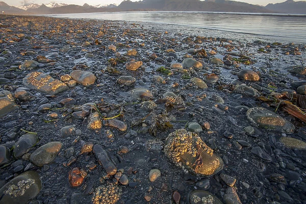 Low tide at sunrise. Lands End. Homer. Alaska