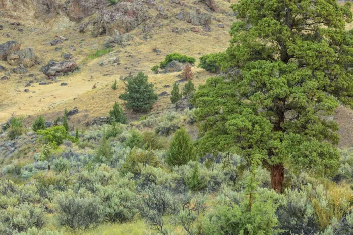 Framed Print : Lower Deschutes River area, Central Oregon, USA