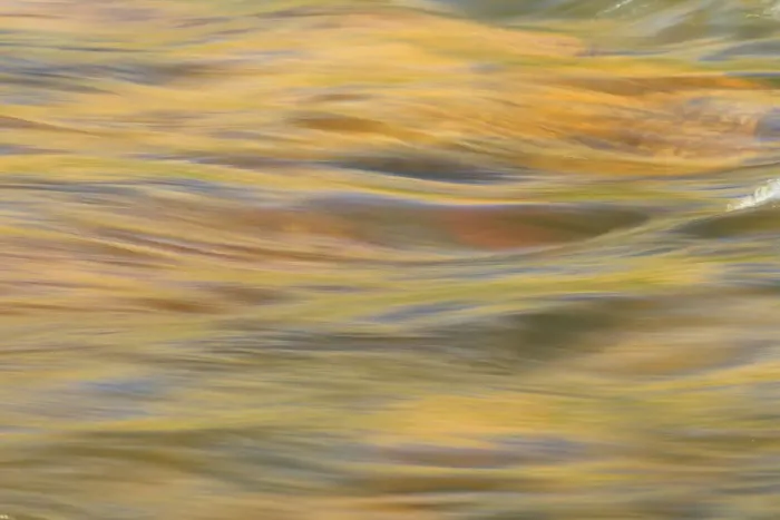 Framed Print : Lower Deschutes River, Central Oregon, USA Framed Print : Lower Deschutes River, Central Oregon, USA