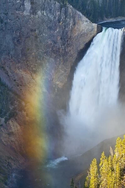 Lower Falls in the Grand Canyon of the Yellowstone River in Yellowstone National
