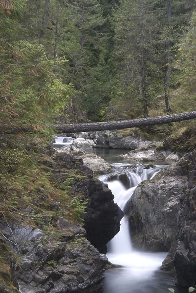 Lower Falls, Little Qualicum Falls Provincial Park, Vancouver Island, British Columbia
