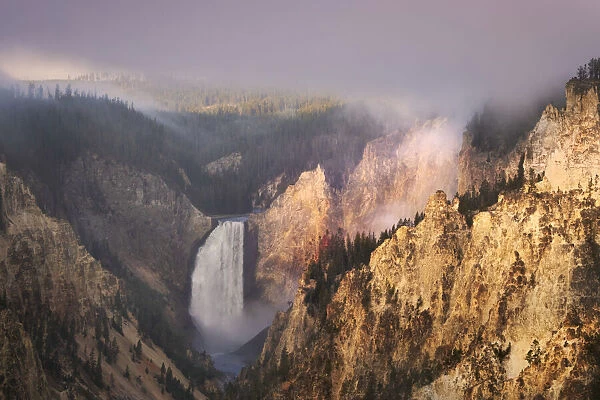 Lower Falls at sunrise from Artist Point, Yellowstone National Park, Wyoming