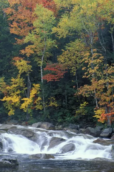 Framed Print : Lower Falls, Swift River. White Mountain N. F. Kancamagus Highway. Albany, NH
