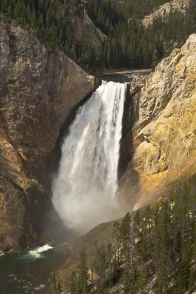 Lower Falls of the Yellowstone, Lookout Point, Yellowstone National Park, Wyoming, USA