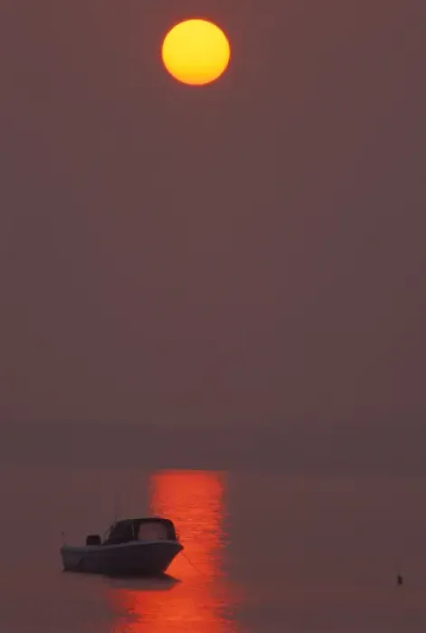 Framed Print : Lower Makonikey, Marthas Vineyard, MA. Boats. The sun rises thru fog Framed Print : Lower Makonikey, Marthas Vineyard, MA. Boats. The sun rises thru fog
