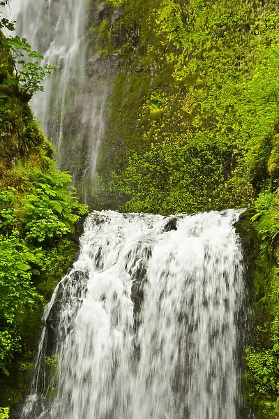 Lower Multnomah Falls, Columbia Gorge, Oregon, USA