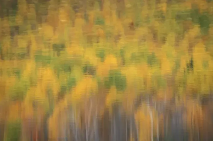 Framed Print : Lower South Branch Pond, Baxter S. P. ME. Reflections. Fall Foliage. Fall colors Framed Print : Lower South Branch Pond, Baxter S. P. ME. Reflections. Fall Foliage. Fall colors