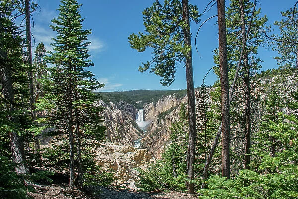Lower Yellowstone Falls, Grand Canyon of the Yellowstone, Yellowstone National Park, Wyoming, USA
