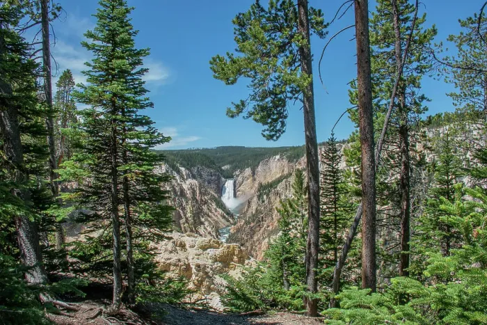 Framed Print : Lower Yellowstone Falls, Grand Canyon of the Yellowstone, Yellowstone National Park, Wyoming, USA Framed Print : Lower Yellowstone Falls, Grand Canyon of the Yellowstone, Yellowstone National Park, Wyoming, USA