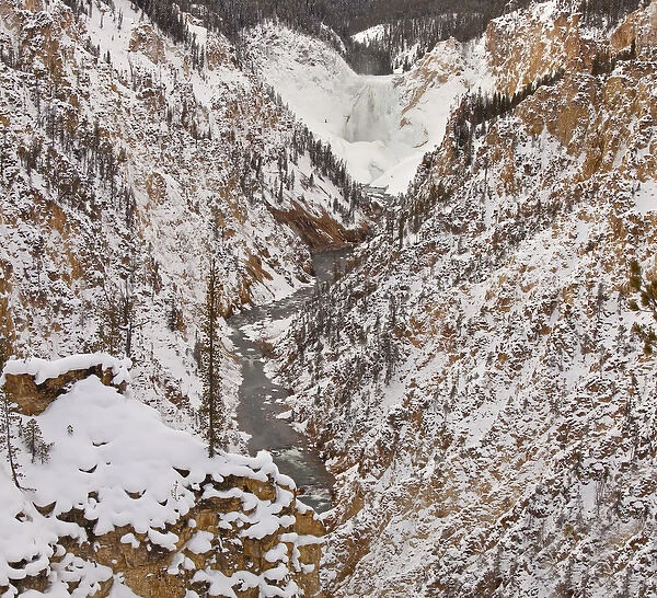 Lower Yellowstone Falls in winter in Yellowstone National Park