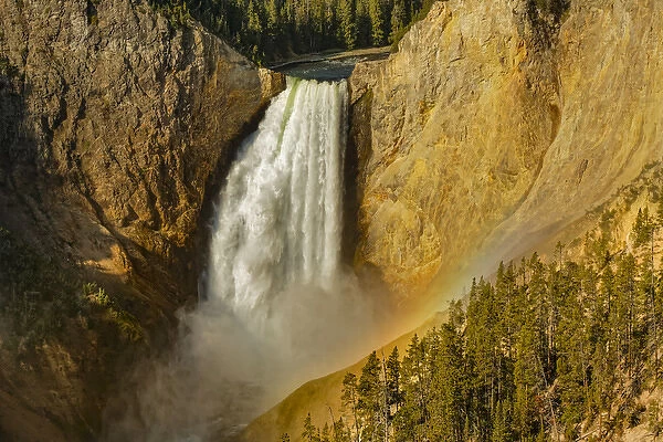 Lower Yellowstone Falls, Yellowstone National Park, Wyoming  /  Montana
