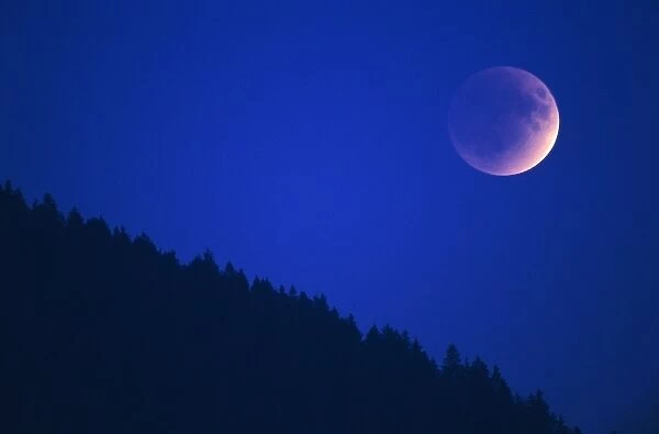 Lunar Eclipse over forest, Zug, Switzerland