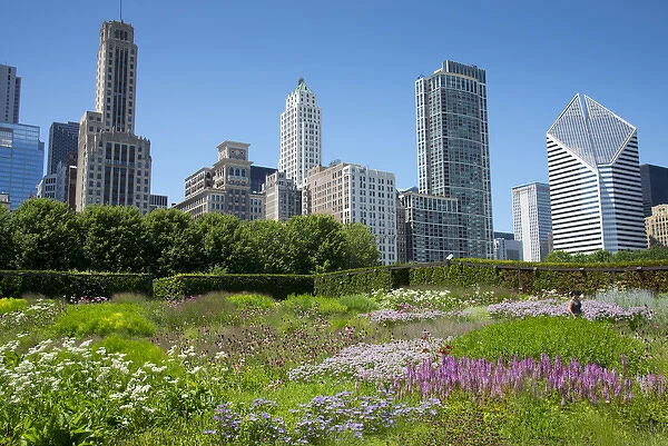 Lurie Garden in Millennium Park, Chicago, with Michigan Avenue skyline