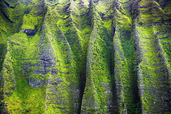 Lush canyon walls in Honopu Valley on the Na Pali Coast, Coast Wilderness State Park