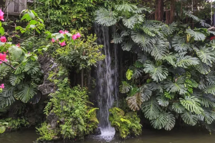 Framed Print : lush Garden Waterfall, Panxi Restaurant, Lichi Bay, Guangzhou, China Framed Print : lush Garden Waterfall, Panxi Restaurant, Lichi Bay, Guangzhou, China