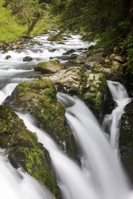 Framed Print : Lush waterfall. Olympic National Park, Washington, US Framed Print : Lush waterfall. Olympic National Park, Washington, US