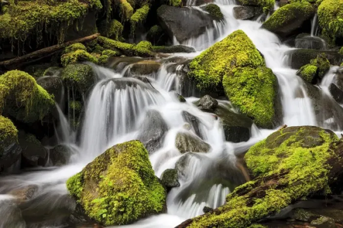 Framed Print : Lush waterfall. Olympic National Park, Washington, US Framed Print : Lush waterfall. Olympic National Park, Washington, US
