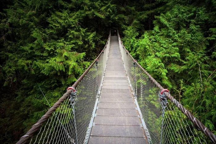 Framed Print : Lynn Canyon Suspension Bridge, North Vancouver, British Columbia, Canada Framed Print : Lynn Canyon Suspension Bridge, North Vancouver, British Columbia, Canada