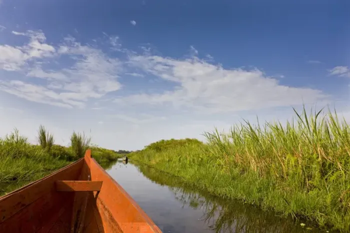 Framed Print : The Mabamba wetlands near Kampala are famous for the shoebill population. Dugout canoe Framed Print : The Mabamba wetlands near Kampala are famous for the shoebill population. Dugout canoe