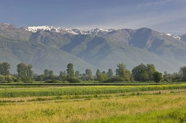 MACEDONIA, Tetovo. Sar Planina Mountains  /  Morning