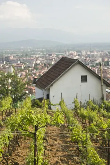 Framed Print : MACEDONIA, Tetovo. Vineyards above the city of Tetovo Framed Print : MACEDONIA, Tetovo. Vineyards above the city of Tetovo