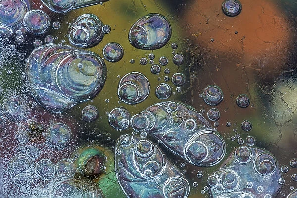 Macro of bubbles forming under ice along the edge of Lake McDonald in Glacier National Park