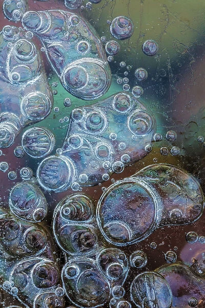 Macro of bubbles forming under ice along the edge of Lake McDonald in Glacier National Park