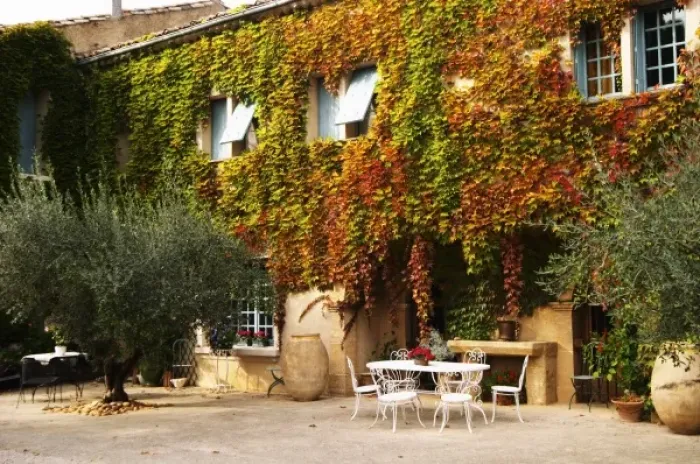 Framed Print : The main building covered with vine with olive trees, garden furniture. Chateau de Beaucastel Framed Print : The main building covered with vine with olive trees, garden furniture. Chateau de Beaucastel