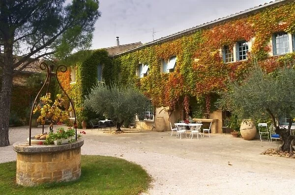 The main building covered with vine with olive trees and a water well Chateau de Beaucastel