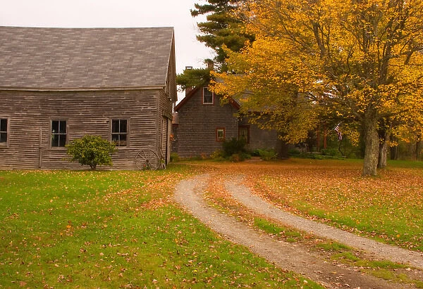 07. Maine, Acadia NP, Old wooden barn and house in rural New England in fall