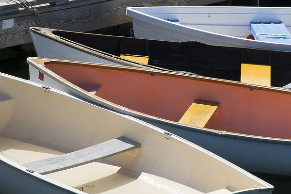 Maine, Rockland. Colorful row boats in Rockland marina