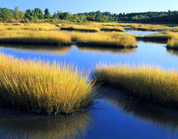 Framed Print : MAINE. USA. Salt marsh at sunrise. Estuary of New Meadow River in early autumn Framed Print : MAINE. USA. Salt marsh at sunrise. Estuary of New Meadow River in early autumn