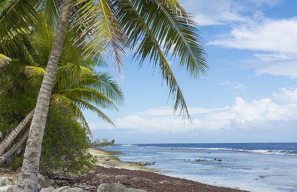 Majuro Marshall Islands beach with palm trees and ocean romantic scene