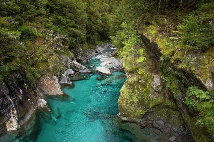 Framed Print : Makarora, New Zealand. The Blue Pools of Makarora offer enticing blue waters to swim in