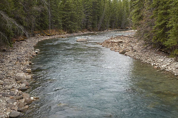 Maligne River, Jasper National Park, Alberta, Canada