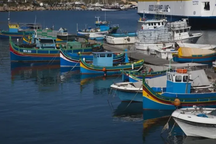Framed Print : Malta, Gozo Island, Mgarr, harbor view with luzzu traditional fishing boats Framed Print : Malta, Gozo Island, Mgarr, harbor view with luzzu traditional fishing boats