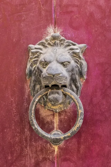 Framed Print : Malta, Mdina. Knocker in the shape of a lion's head Framed Print : Malta, Mdina. Knocker in the shape of a lion's head