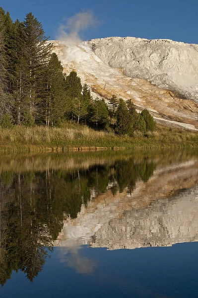 Mammoth Hot Springs, reflected in small pond, Yellowstone National Park, Montana