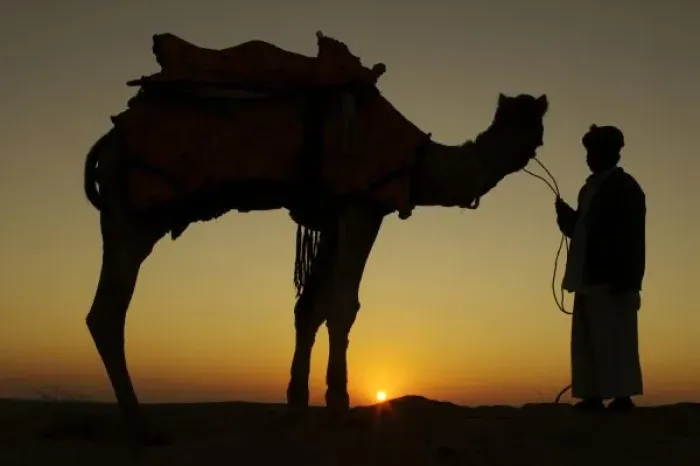 Framed Print : a man and his camel Framed Print : a man and his camel