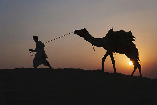 Man with camel on the desert at sunset, Jodphur, Rajasthan, India