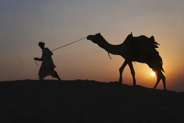 Framed Print : Man with camel on the desert at sunset, Jodphur, Rajasthan, India