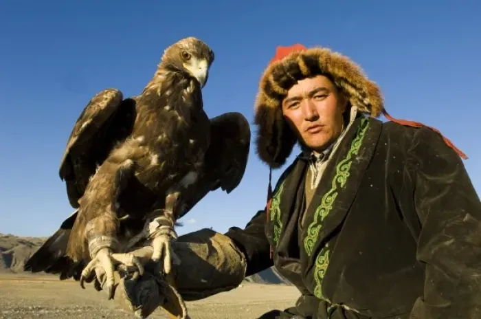 Framed Print : Man with eagles at Altai Eagle Festival (MR) Framed Print : Man with eagles at Altai Eagle Festival (MR)