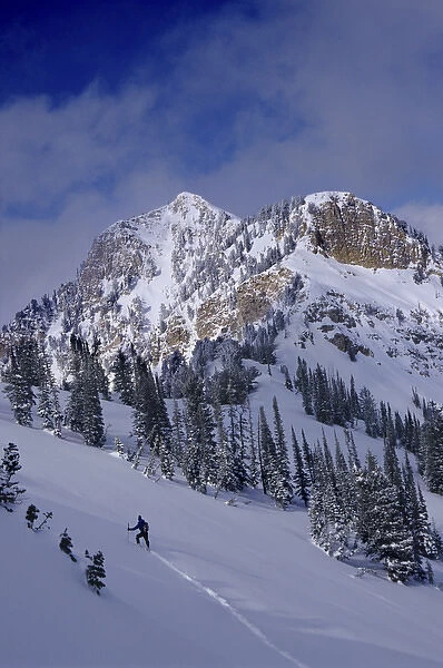 Man on a long climb to ridge, Uinta Wasatch-Cache National Forest, near Salt Lake City