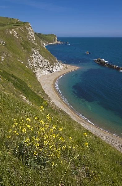 Man o War Bay, Jurassic Coast, Lulworth, Dorset, England