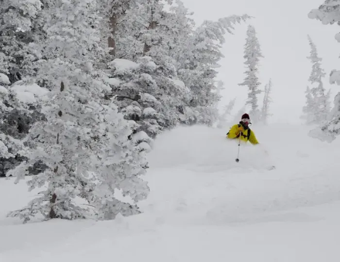Framed Print : Man skiing through rimed aspen and evergreen trees in a snow storm near Gobblers Knob Framed Print : Man skiing through rimed aspen and evergreen trees in a snow storm near Gobblers Knob