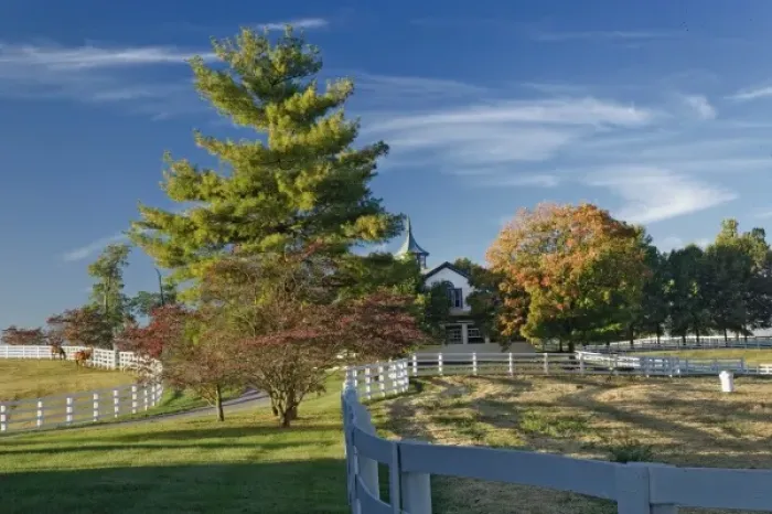 Framed Print : Manchester Horse farm in autumn, Lexington, Kentucky Framed Print : Manchester Horse farm in autumn, Lexington, Kentucky